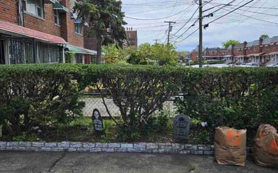 Photo of Ashley B.'s yard after getting landscaping in White Plains, NY