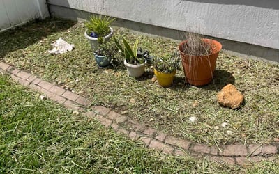 Photo of Paul N.'s yard after getting landscaping in Hilliard, FL