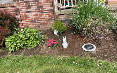 Photo of Mary H.'s yard after getting landscaping in Mc Kees Rocks, PA