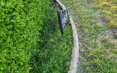 Photo of Shirley L.'s yard after getting landscaping in Weston, TX
