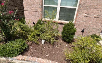 Photo of Jennifer L.'s yard after getting landscaping in Poolville, TX