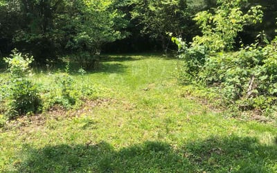Photo of Michael H.'s yard after getting landscaping in Amelia, OH