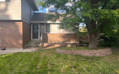 Photo of Jason B.'s yard after getting landscaping in Alma, CO