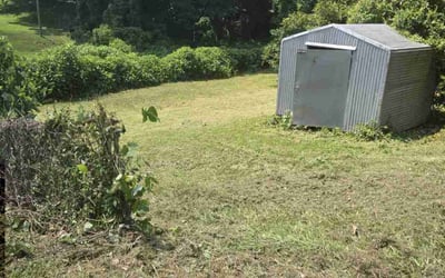 Photo of Elizabeth G.'s yard after getting landscaping in Harmony, NC