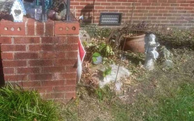 Photo of Linda H.'s yard after getting landscaping in Bohannon, VA