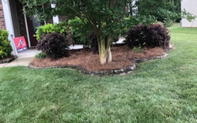 Photo of Donald R.'s yard after getting landscaping in Bowling Green, SC