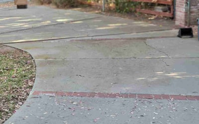 Photo of Sonja N.'s yard after getting tree care in Rialto, CA