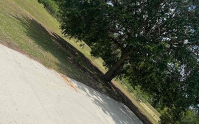 Photo of Christina C.'s yard after getting landscaping in Dundee, FL