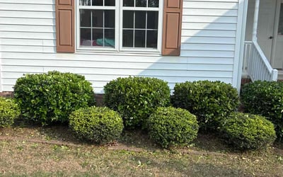 Photo of Jack B.'s yard after getting landscaping in Clayton, NC