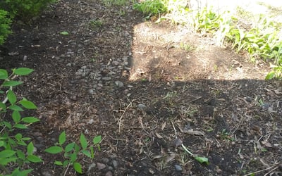 Photo of Lori B.'s yard after getting landscaping in Parker, KS