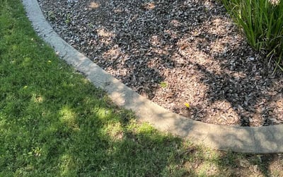 Photo of Latanya F.'s yard after getting landscaping in Kingsburg, CA