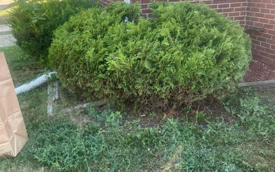 Photo of Robert J.'s yard after getting landscaping in Aurora, IL