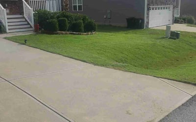 Photo of Michelle J.'s yard after getting landscaping in Benson, NC