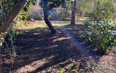 Photo of Andrew D.'s yard after getting landscaping in Edisto Island, SC