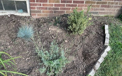 Photo of Donald D.'s yard after getting landscaping in Horsham, PA