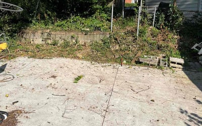 Photo of James M.'s yard after getting landscaping in Beallsville, MD