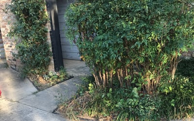 Photo of Joseph B.'s yard after getting landscaping in Boyd, TX