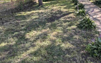 Photo of Amanda H.'s yard after getting landscaping in Becker, MN