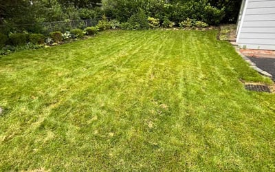 Photo of Eric J.'s yard after getting landscaping in East Hanover, NJ