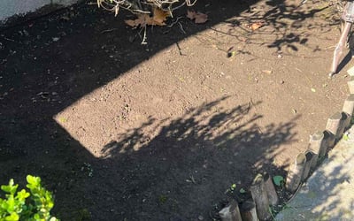 Photo of Taylor M.'s yard after getting landscaping in Portland, TN