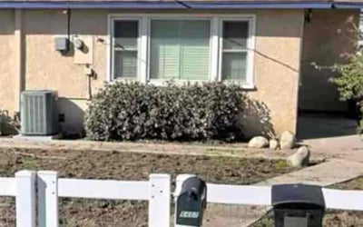 Photo of Jan G.'s yard after getting tree care in Rohnert Park, CA