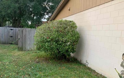 Photo of Michael M.'s yard after getting landscaping in Paisley, FL