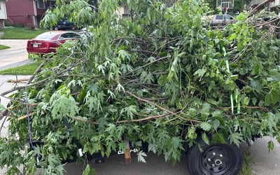 Photo of Lee S.'s yard after getting landscaping in Lincoln, NE