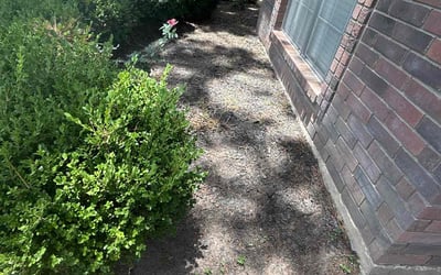 Photo of Jennifer S.'s yard after getting landscaping in Spring, TX