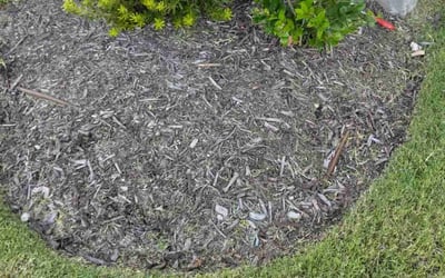 Photo of Kelly C.'s yard after getting landscaping in The Colony, TX