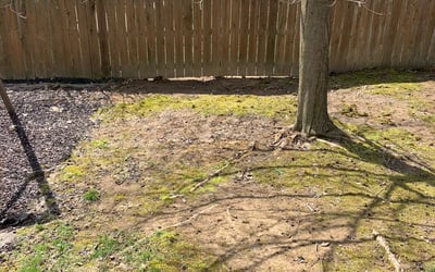 Photo of Jennifer W.'s yard after getting landscaping in Hebron, OH