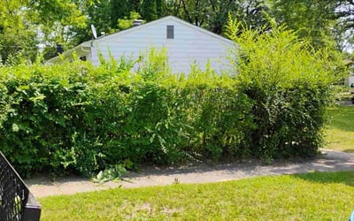 Photo of Matthew G.'s yard after getting landscaping in Okemos, MI