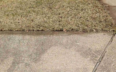 Photo of Julie P.'s yard after getting landscaping in Florence, TX