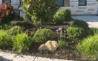 Photo of Jason C.'s yard after getting landscaping in Justin, TX