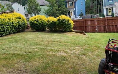 Photo of Belinda B.'s yard after getting landscaping in Social Circle, GA