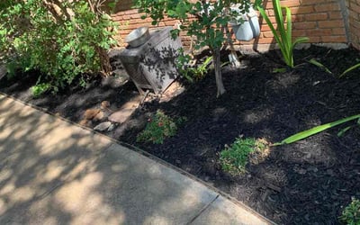 Photo of Jennifer G.'s yard after getting landscaping in Glen Rose, TX