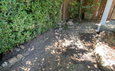 Photo of Matthew M.'s yard after getting landscaping in Sacramento, CA
