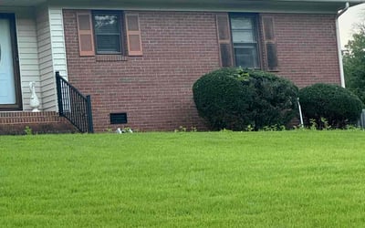 Photo of Stephanie H.'s yard after getting landscaping in Lexington, NC
