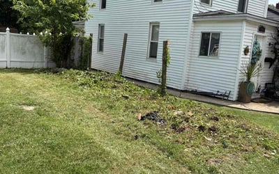 Photo of Kashif R.'s yard after getting tree care in Pasadena, MD