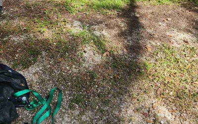Photo of David S.'s yard after getting landscaping in Bokeelia, FL