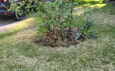 Photo of Mark S.'s yard after getting landscaping in Hudson, NH