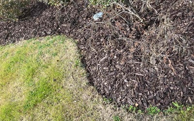 Photo of Karen L.'s yard after getting tree care in Red Oak, TX