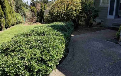 Photo of Jennifer B.'s yard after getting landscaping in Baring, WA