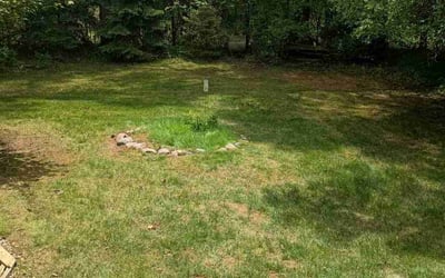 Photo of Janet C.'s yard after getting landscaping in Troy, MI