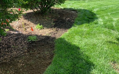 Photo of Susan S.'s yard after getting landscaping in Cardington, OH