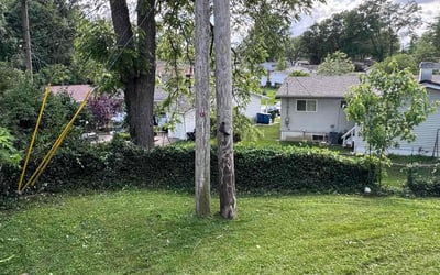 Photo of David B.'s yard after getting landscaping in Maryland Heights, MO
