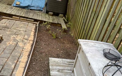 Photo of Monique T.'s yard after getting landscaping in Fairfax Station, VA