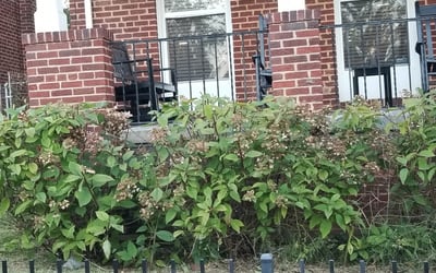 Photo of Howard B.'s yard after getting landscaping in Newburg, MD