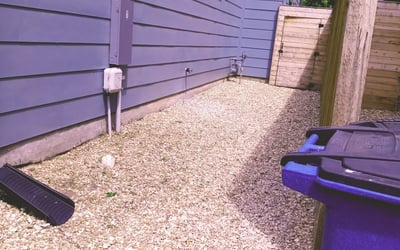 Photo of Lisa P.'s yard after getting landscaping in Florence, TX