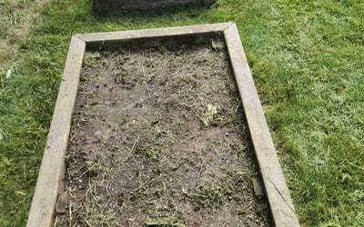 Photo of Sean K.'s yard after getting landscaping in Madison, WI
