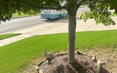 Photo of Cynthia S.'s yard after getting landscaping in Purcell, OK